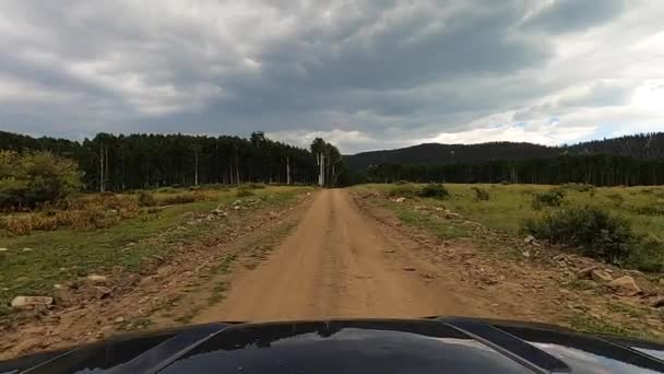 Gravel Road Cow One Side Majestic Forest Mountain Range Horizon — Stock Video