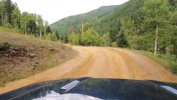 Vinutí Štěrkové Lesní Cesty Majestátním Výhledem Pohoří Jízdní Pov Shot — Stock video