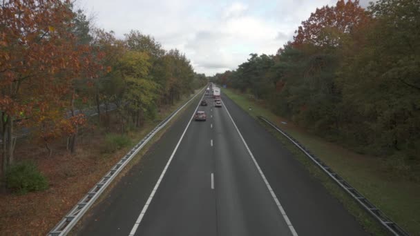 オランダの秋のシーズン中にA28高速道路の交通渋滞に囲まれた秋の木 ワイドショット — ストック動画