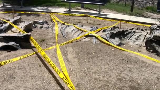 在一个阳光明媚的日子里 加拿大艾伯塔省的一个公园里 一只霸王龙的恐龙骨骼被一盘谨慎的带子挡住了 — 图库视频影像