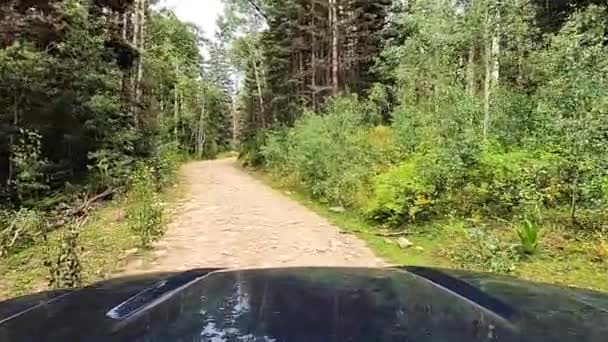 Bumpy Narrow Gravel Road Dense Forest Driving Pov View — Stock Video