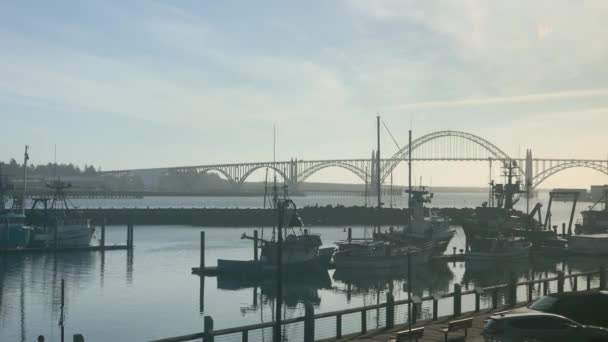 Visserijboten Haven Van Newport Oregon Met Yaquina Bay Bridge Achtergrond — Stockvideo