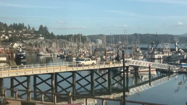 Muelle Puerto Junto Bahía Yaquina Newport Oregon Durante Día Ancho — Vídeo de stock