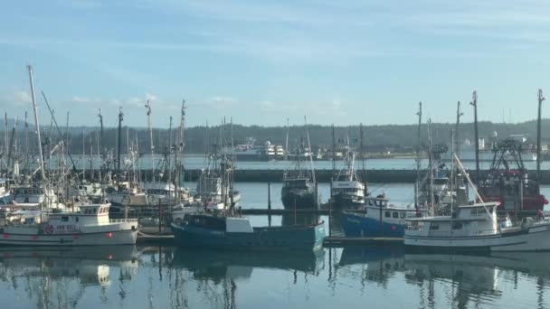 オレゴン州のニューポート港での販売のためのボート — ストック動画