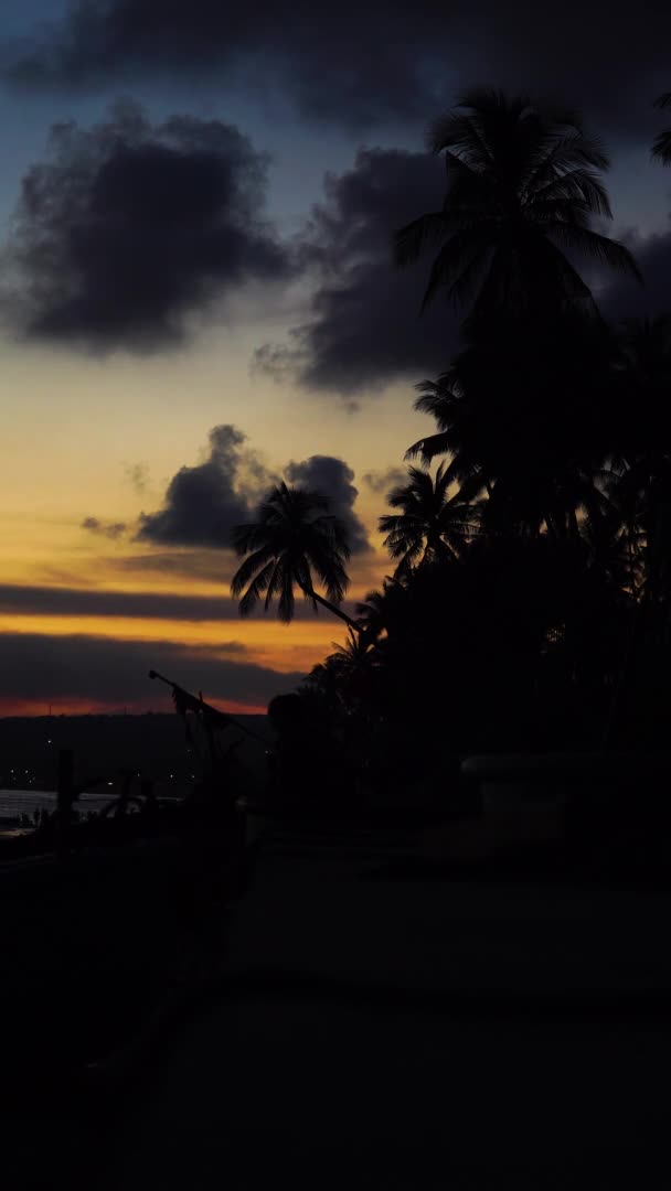 Vertikální Video Silueta Palem Při Západu Slunce Pobřeží Oceánu — Stock video