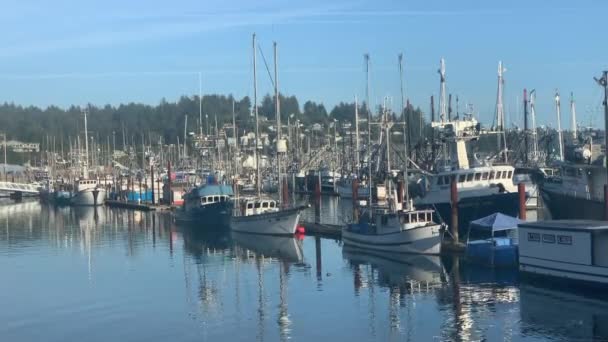 多くの漁船がアメリカ オレゴン州のヤキナ湾に係留されていた ワイドショット — ストック動画