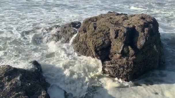 Пена Океана Плывет Против Камня Пляже Close — стоковое видео