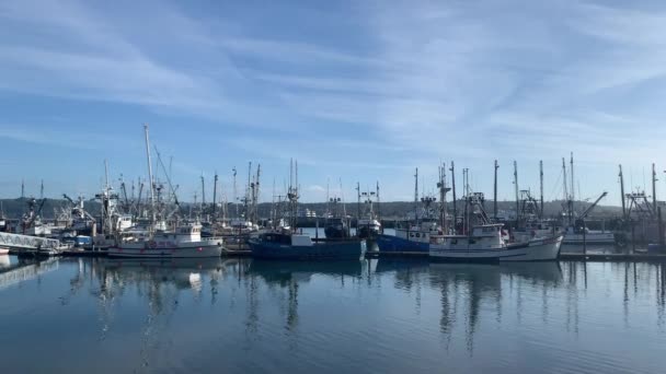 米国オレゴン州ニューポート市の港で係留された漁船 ワイドショット — ストック動画