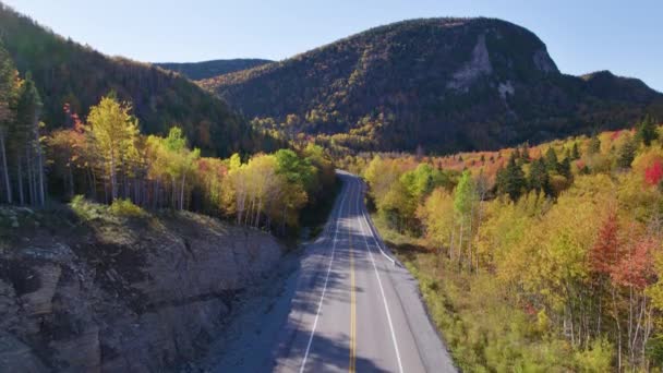 Εθνικό Πάρκο Forillon Gaspe Κεμπέκ Καναδάς Κηφήνας Αυτοκίνητα Που Οδηγούν — Αρχείο Βίντεο
