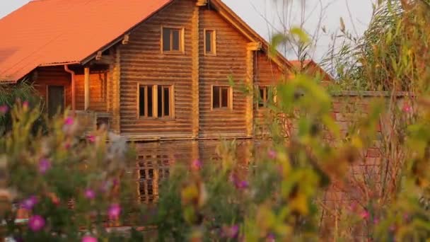 Paisaje Pacífico Con Cabaña Junto Río Día Ventoso Disparo Estático — Vídeos de Stock