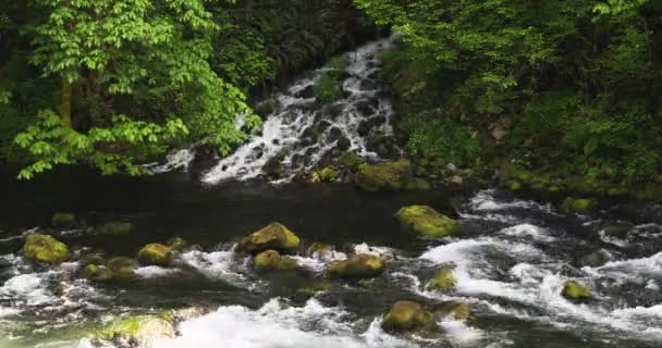 Vista Panorámica Del Agua Dulce Fluyendo Través Mountain Creek Primavera — Vídeos de Stock