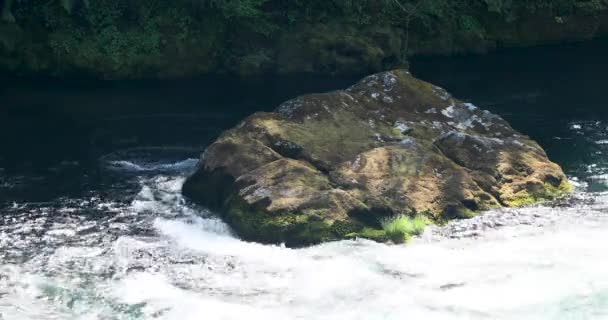 Akan Nehrin Ortasındaki Kaya Yazın Vahşi Arazisinde Yakın Çekim — Stok video