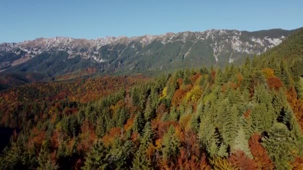 Flyg Över Den Vackra Nationalparken Piatra Craiului Rumänien — Stockvideo