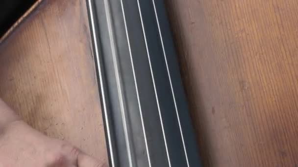 Zbliżenie Rąk Muzyka Grającego Kontrabas Drewna — Wideo stockowe
