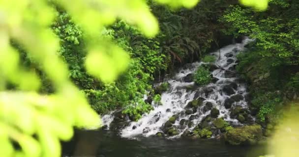 Bokeh Foliage Met Rocky River Mountain Buurt Van Countryside Forest — Stockvideo