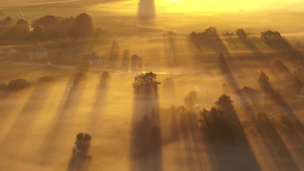 リトアニアのカウナス郡霧の秋の朝のドローン航空ビュー — ストック動画