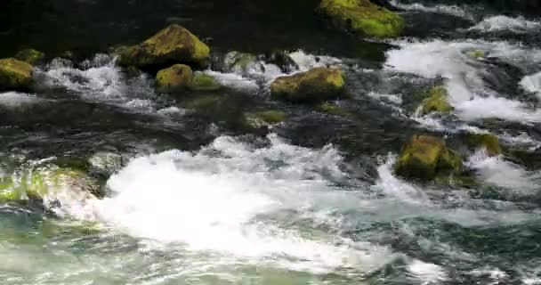 Crystalline Mountain River Flowing Mossy Rocks Inglés Primer Plano Cámara — Vídeos de Stock