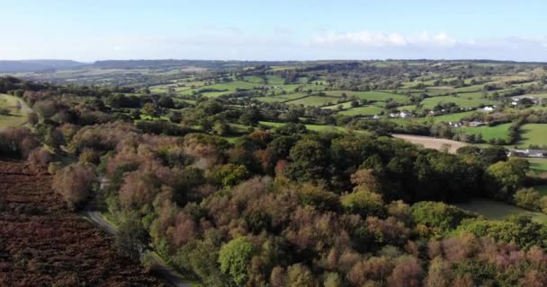 Vista Aérea Com Vista Para East Devon Countryside Hartridge Hill — Vídeo de Stock
