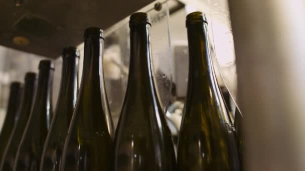 Bouteilles Vin Vides Dans Processus Embouteillage Attendant Remplir Vin — Video