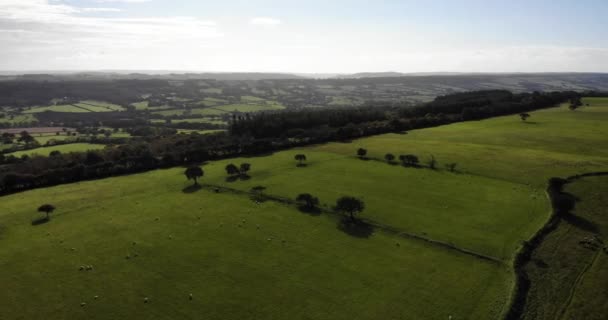 Idyllisches Green English Devon Countryside Farmland Links Aus Der Luft — Stockvideo