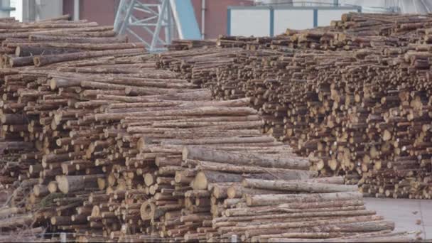 Zoom Aan Gestapeld Gehakt Hout Wachtend Een Fabriek Zweden Binnen — Stockvideo