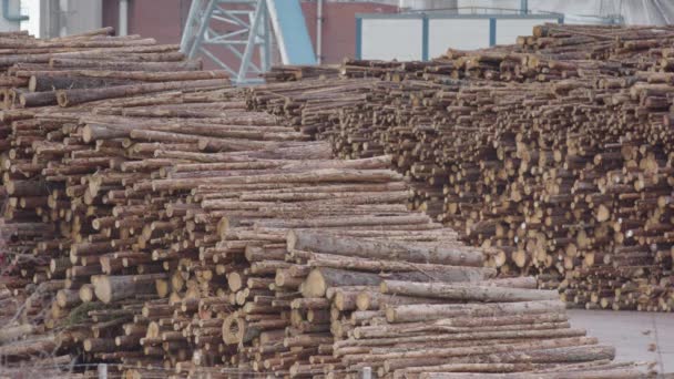 Gestapeltes Gehäckseltes Holz Wartet Darauf Eine Fabrik Schweden Gelangen — Stockvideo