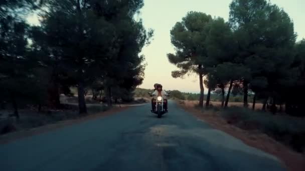 若いカップルは 夕暮れ時に緑豊かな木々と空の田舎道でバイクに乗っています 引き戻し — ストック動画