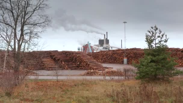 Cinematický Záběr Tisíců Stonků Stromů Připravených Vstupu Továrny — Stock video