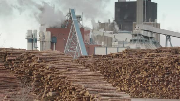Tilt 一个木浆工厂和一堆堆巨大的树干 — 图库视频影像