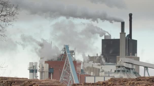 一个木浆工厂和一堆堆巨大的树干 — 图库视频影像
