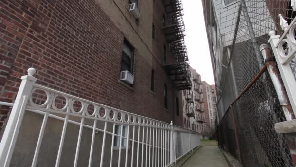 ニューヨーク市アメリカの放棄されたブルックリンの通り近くの裏庭 — ストック動画