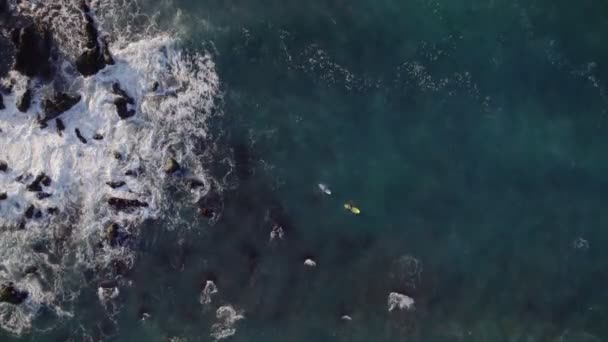 Dwóch Surferów Nawadniających Fale Pobliżu Skalistego Wybrzeża Góry Dół Powiększenie — Wideo stockowe
