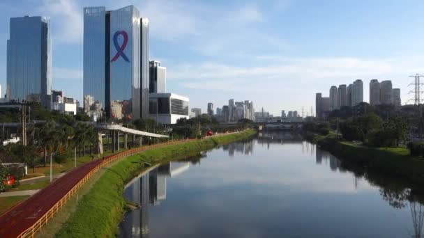 自転車道が脇にあるピニヒロス川の上の高い角度とブラジルのサンパウロの建物の街並み — ストック動画