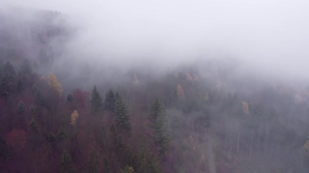 Widok Lotu Ptaka Deszczową Pogodę Górach Mgła Wieje Nad Lasem — Wideo stockowe