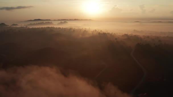 Vista Aérea Bonita Por Sol Acima Névoa Floresta Tropical Bornéu — Vídeo de Stock