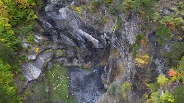 Водопад Склоне Скалистой Горы Альпах Стадо Овец Пасущихся Зеленом Лугу — стоковое видео