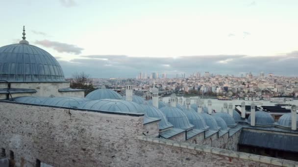 具有天际线和博斯普鲁斯海峡的伊斯坦布尔全景城市景观 — 图库视频影像