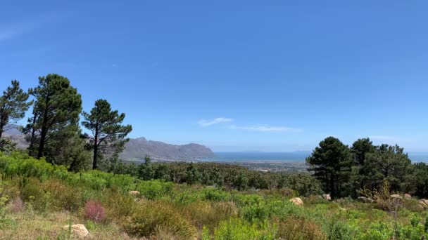 Fynbos Struiken Planten Uitzicht Oceaan Van False Bay Hottentots Mountain — Stockvideo