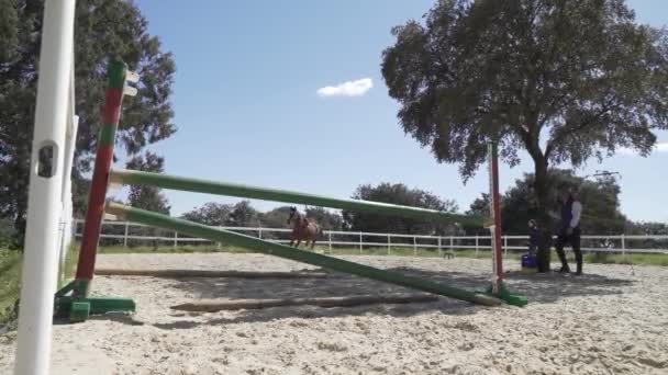 Cavalo Correndo Para Esquerda Para Evitar Saltar Obstáculo Treinamento Fro — Vídeo de Stock