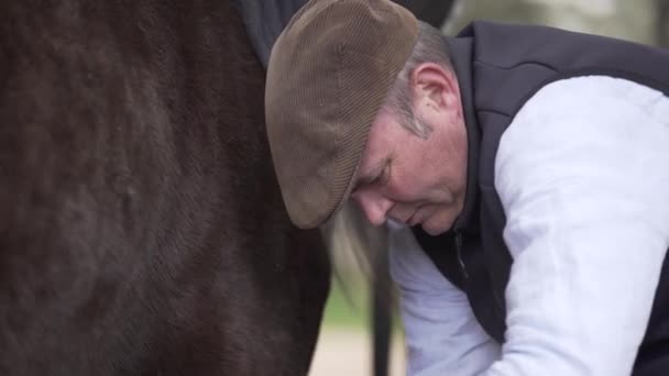 Jinete Macho Limpiando Con Cepillo Pezuña Herradura Pata Caballo Marrón — Vídeo de stock