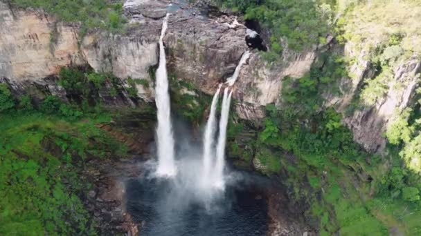 Cascada Exuberante Bosque Nativo Virgen Brasil Río Lago Una Caída — Vídeo de stock