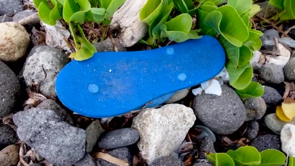 Ocean Beach Plastic Rubbish Clean One Many Rubber Flip Flop — Stock Video