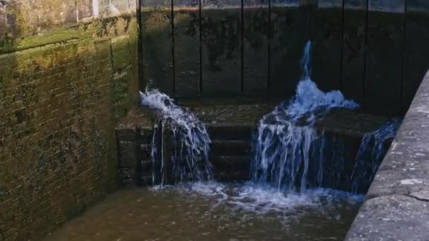 Water Stroomt Een Groen Slijmerig Kanaal Sluis Met Grote Houten — Stockvideo