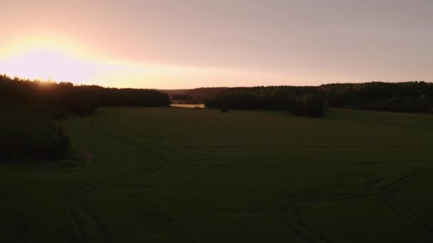 Drone Skott Ett Grönt Fält Vid Solnedgången — Stockvideo