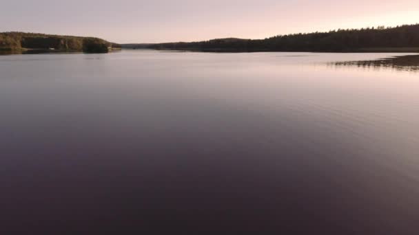 Drone Shot Sunset Lake Summer — Stock Video
