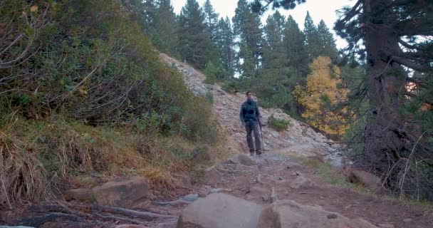 Vista Frontal Del Joven Excursionista Con Mochila Trekking Caminando Por — Vídeo de stock