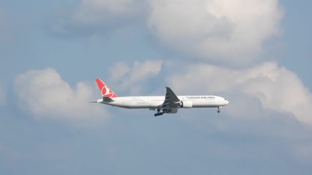 Clip Avión Aerolíneas Turcas Volando — Vídeos de Stock
