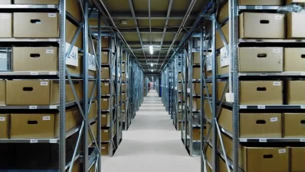 大きな倉庫に保管施設 箱で満たされたラック ドリーイン — ストック動画