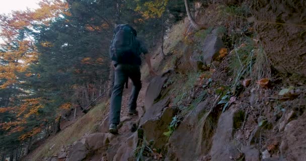 Vista Posteriore Del Giovane Escursionista Con Zaino Trekking Che Cammina — Video Stock