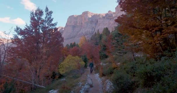Pohled Zepředu Mladého Turistu Trekingovým Batohem Kráčejícího Stezce Tmavých Podzimních — Stock video